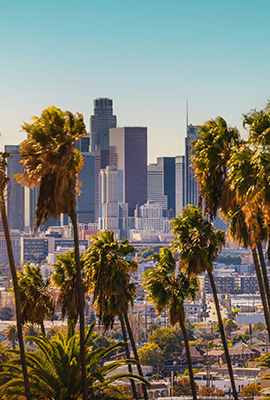 wealth management la