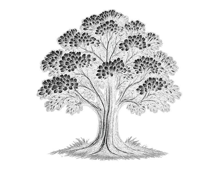 wealth-management-tree-1 wealth management tree